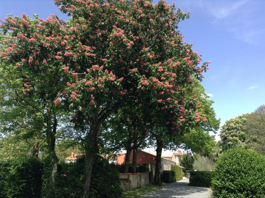 La Grange D'Aunis Bed & Breakfast Aigrefeuille-d'Aunis ภายนอก รูปภาพ